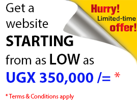 Get website from as low as UGX 350,000/=